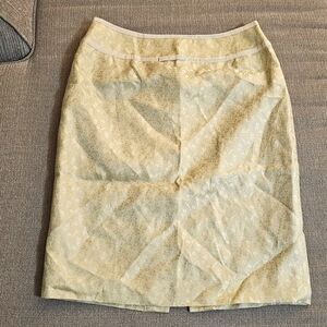 Ann Taylor Pastel Green Gold Silk Blend Delicate Detail Boho Lined Skirt Size 4P
